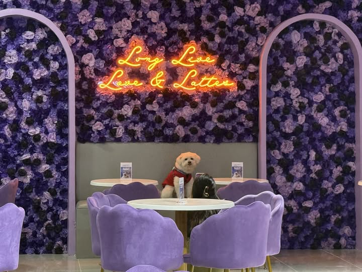 Wiltlover Cafe cozy seating and floral decor